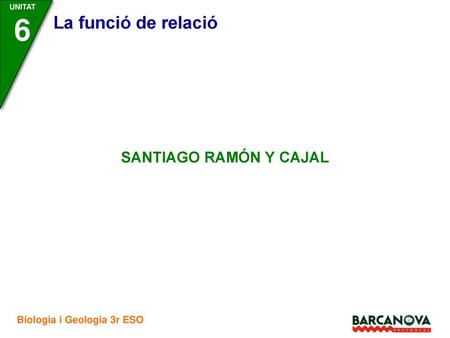La funció de relació SANTIAGO RAMÓN Y CAJAL 1.