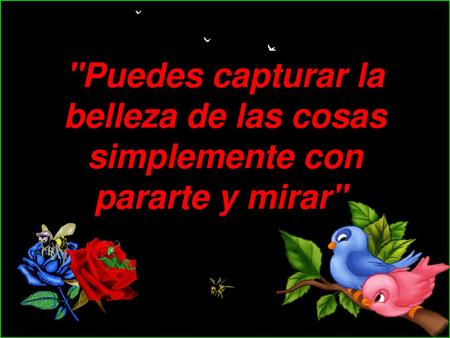 Musica:Andre Rieu-Pour Un flirt .- lunes, 19 de noviembre de 2018 ……