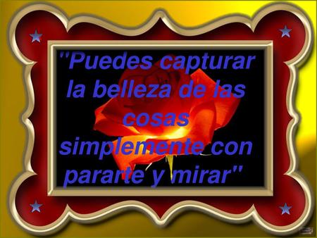 Musica:Diamont Platnumz.- lunes, 19 de noviembre de 2018 ……