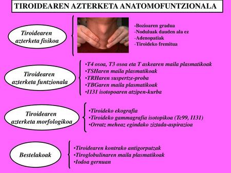 azterketa funtzionala azterketa morfologikoa
