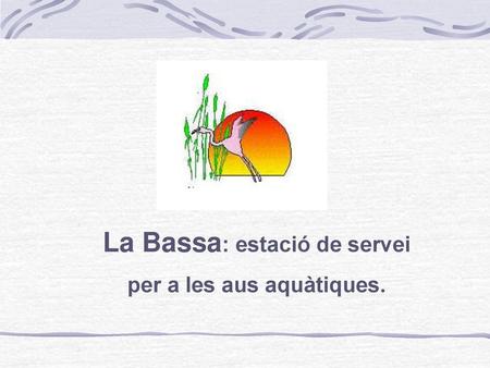 La Bassa: estació de servei per a les aus aquàtiques.