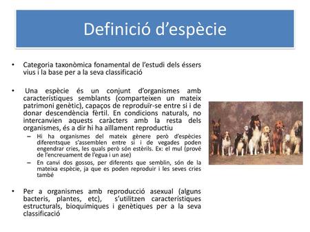 Definició d’espècie Categoria taxonòmica fonamental de l’estudi dels éssers vius i la base per a la seva classificació Una espècie és un conjunt d’organismes.