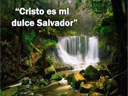 “Cristo es mi dulce Salvador”