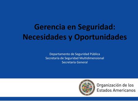 Gerencia en Seguridad: Necesidades y Oportunidades Departamento de Seguridad Pública Secretaría de Seguridad Multidimensional Secretaría General.