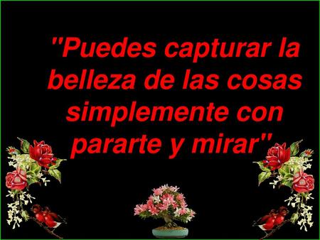 Fotografia Y texto: Internet Musica:Beyond The Sea.- .-