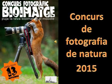 Concurs de fotografia de natura 2015