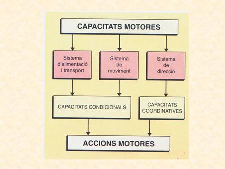 Qualitats físiques bàsiques (Capacitats condicionals)