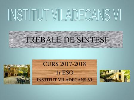 TREBALL DE SÍNTESI CURS r ESO INSTITUT VILADECANS VI