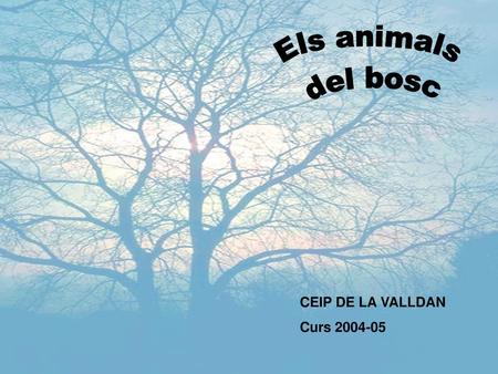 Els animals del bosc CEIP DE LA VALLDAN Curs 2004-05.