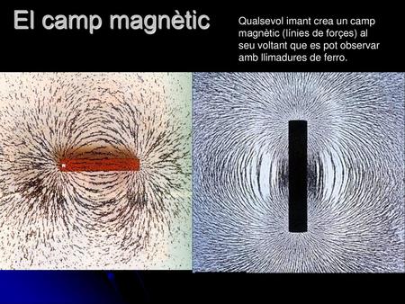 El camp magnètic Qualsevol imant crea un camp magnètic (línies de forçes) al seu voltant que es pot observar amb llimadures de ferro.
