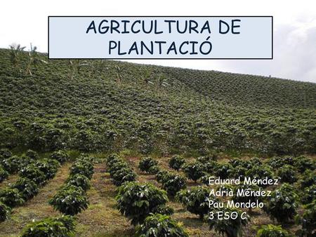 AGRICULTURA DE PLANTACIÓ
