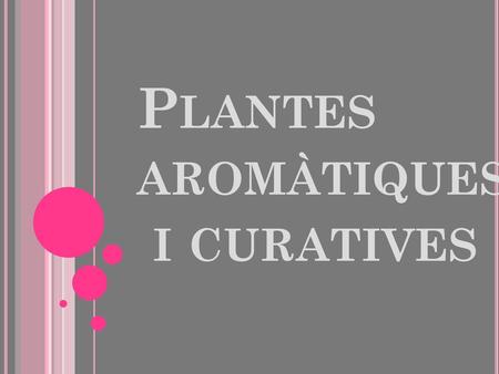 Plantes aromàtiques i curatives