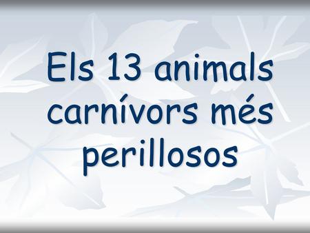 Els 13 animals carnívors més perillosos