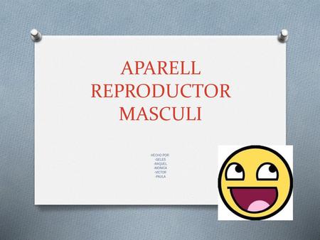 APARELL REPRODUCTOR MASCULI