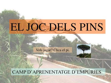 EL JOC DELS PINS CAMP D’APRENENTATGE D’EMPÚRIES