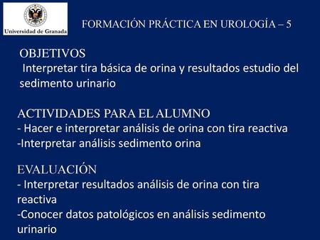 FORMACIÓN PRÁCTICA EN UROLOGÍA – 5