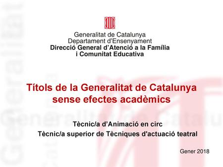 Títols de la Generalitat de Catalunya sense efectes acadèmics