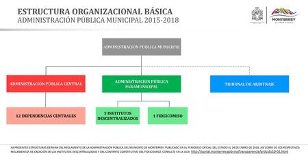 ESTRUCTURA ORGANIZACIONAL BÁSICA