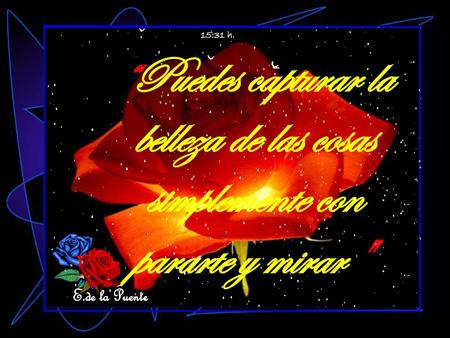 15:31 h. “Puedes capturar la belleza de las cosas simplemente con pararte y mirar  E.de la Puente.