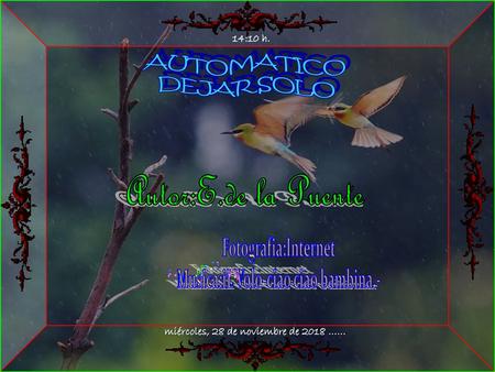 AUTOMATICO DEJAR SOLO Autor:E.de la Puente Fotografia:Internet