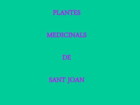 PLANTES MEDICINALS DE SANT JOAN