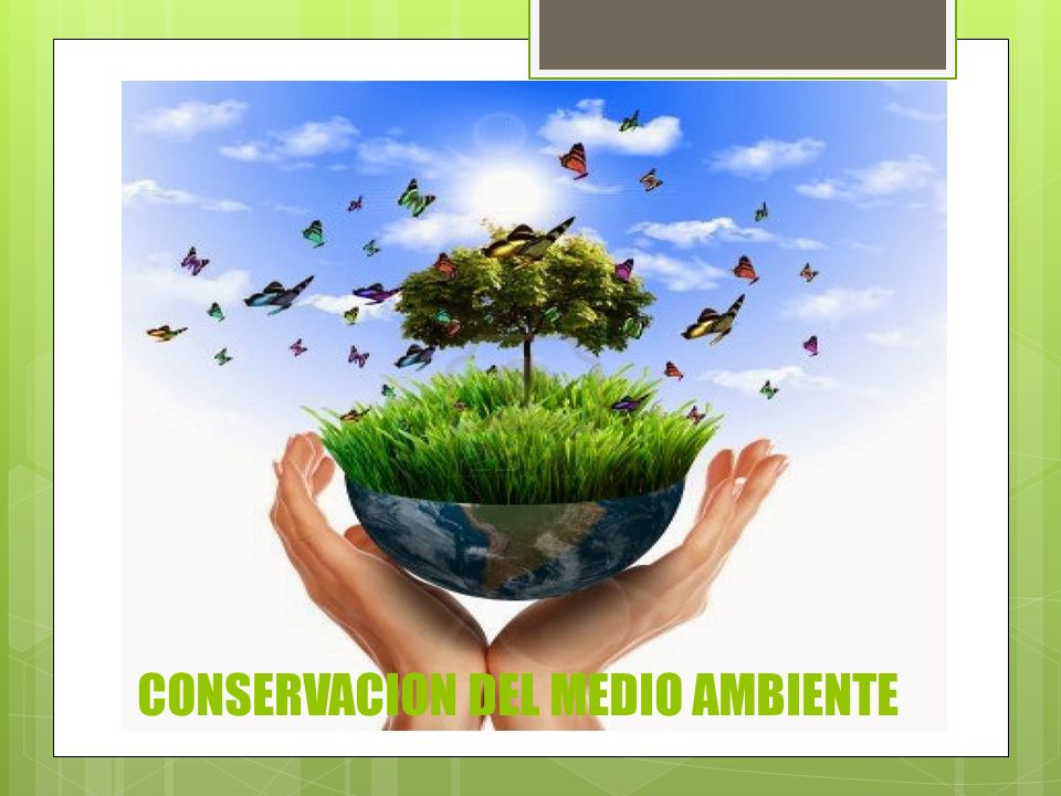 CONSERVACION DEL MEDIO AMBIENTE - ppt descargar CONSERVACION DEL MEDIO AMBIENTE - ppt descargar