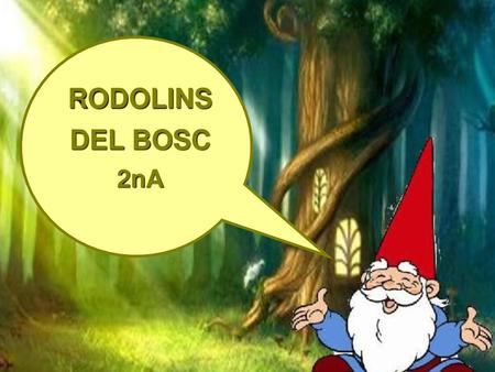 RODOLINS DEL BOSC 2nA.