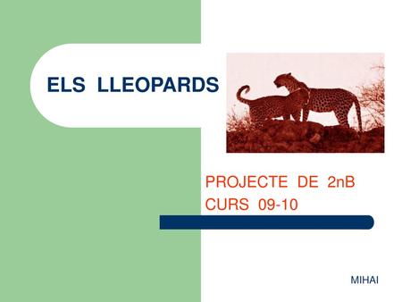 ELS LLEOPARDS PROJECTE DE 2nB CURS 09-10 MIHAI.