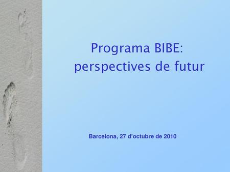 Programa BIBE: perspectives de futur
