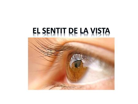 El sentit de La vista.