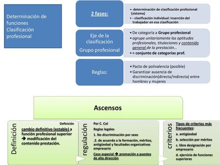 Eje de la clasificación