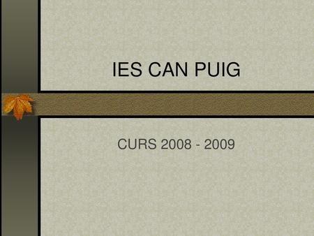 IES CAN PUIG CURS 2008 - 2009.
