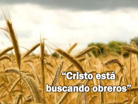 “Cristo está buscando obreros”