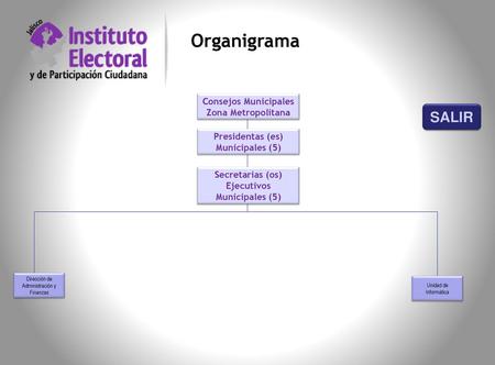 Organigrama SALIR Consejos Municipales Zona Metropolitana