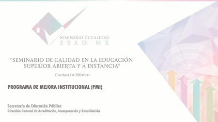 PROGRAMA DE MEJORA INSTITUCIONAL (PMI)