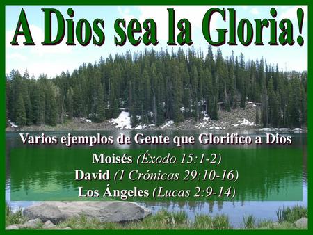 Varios ejemplos de Gente que Glorifico a Dios