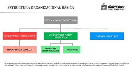 ESTRUCTURA ORGANIZACIONAL BÁSICA