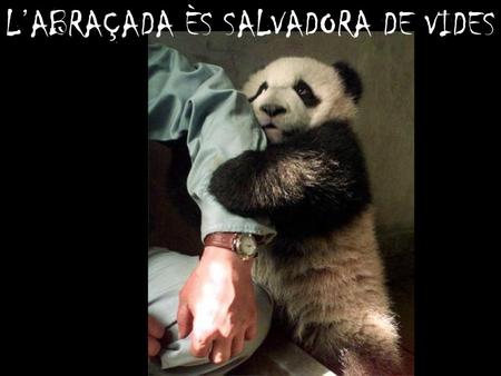 L’ABRAÇADA ÈS SALVADORA DE VIDES