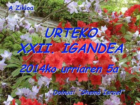 URTEKO XXII. IGANDEA 2014ko urriaren 5a A Zikloa