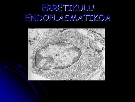 ERRETIKULU ENDOPLASMATIKOA