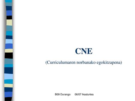CNE (Curriculumaren norbanako egokitzapena)
