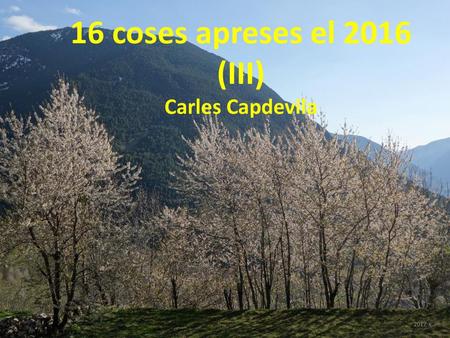 16 coses apreses el 2016 (III) Carles Capdevila 2017 