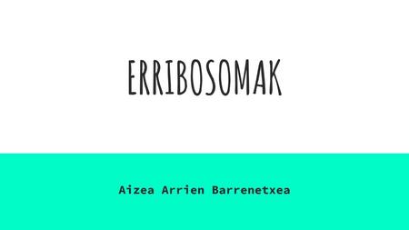 Aizea Arrien Barrenetxea
