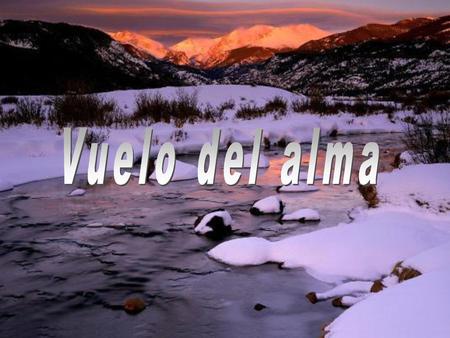 Vuelo del alma.