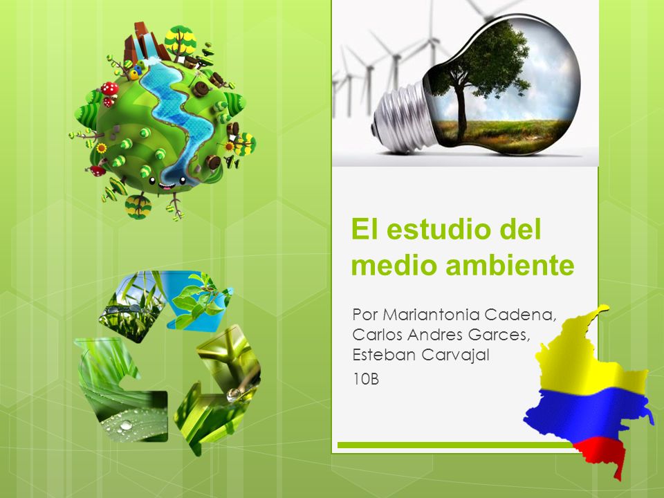 El estudio del medio ambiente Por Mariantonia Cadena, Carlos Andres Garces,  Esteban Carvajal 10B. - ppt descargar