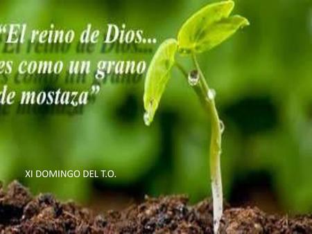 ¡Gracias por la Eucaristía!