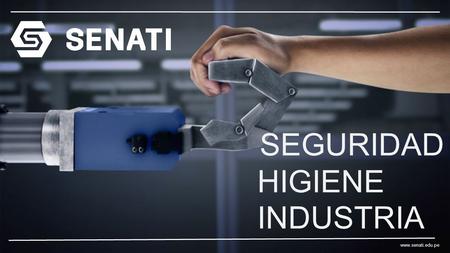 SEGURIDAD E HIGIENE INDUSTRIA.   MAPAS DE RIESGOS.