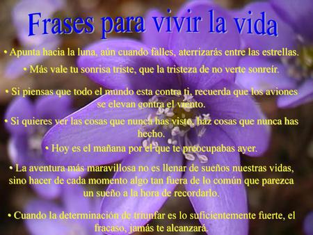 Frases para vivir la vida