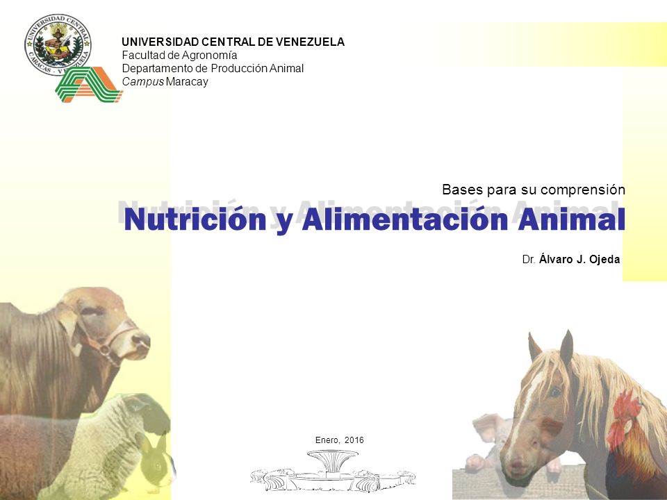Nutrición y Alimentación Animal Nutrición y Alimentación Animal - ppt video  online descargar