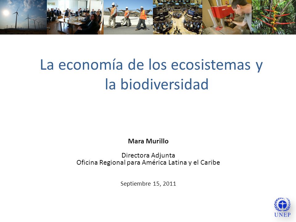 La economía de los ecosistemas y la biodiversidad